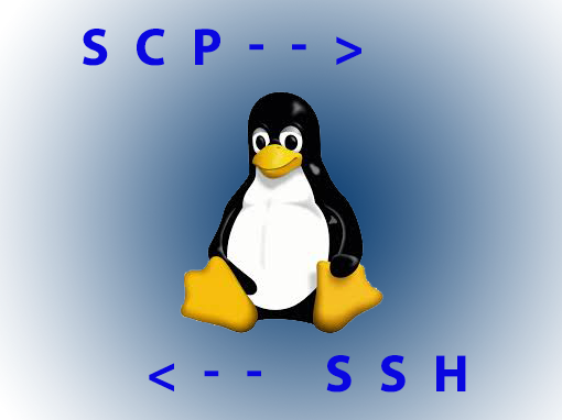 SCP: Copiare files o cartelle da Linux attraverso SSH
